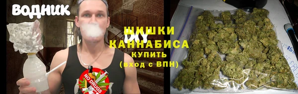 прущие грибы Нефтегорск