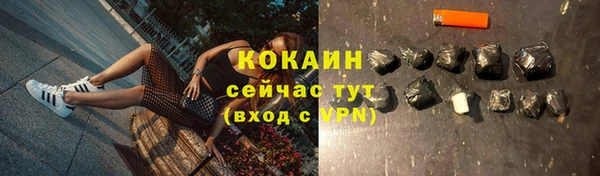 прущие грибы Нефтегорск
