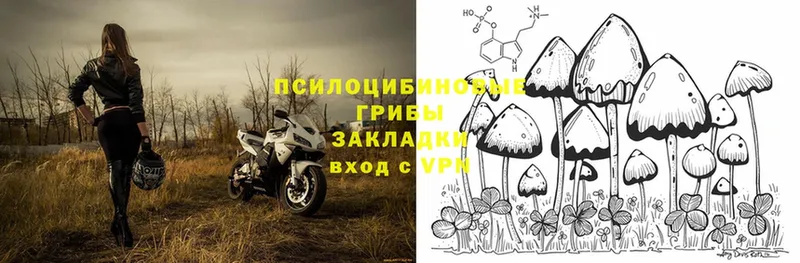 цена   нарко площадка какой сайт  Галлюциногенные грибы Magic Shrooms  Качканар 