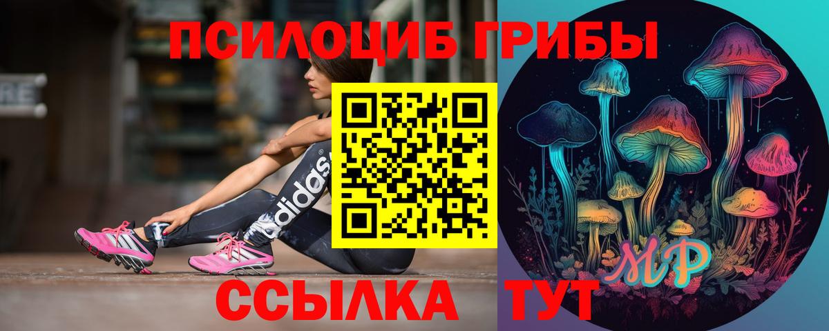 Качканар  Псилоцибиновые грибы GOLDEN TEACHER  наркошоп  Вход с VPN 